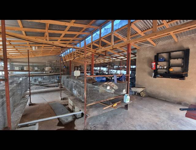 3.20HA FARM TO LET IN WHITE RIVER AH